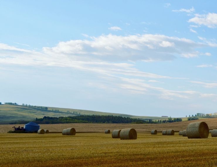 a photo of hay bales and a small granary silo in a field in the autumn under a blue and partly cloudy sky